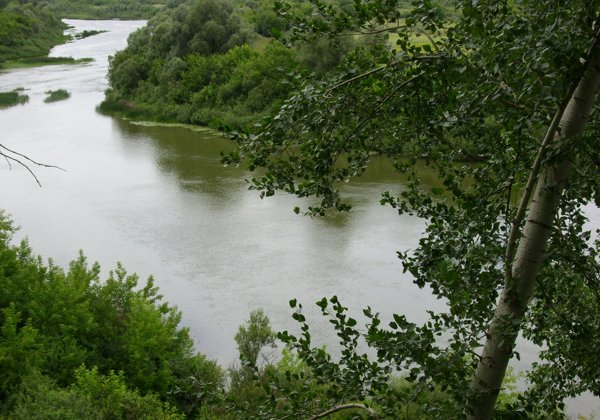 Криминальное сердце Новосибирска
