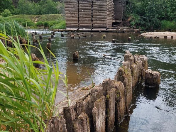 Подальше в лес: сплав на байдарках по реке Медведице - фото 3