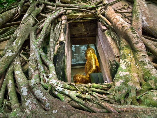 Река Квай + Тайский экспресс: культовый маршрут на 2 дня (всё включено) - фото 3