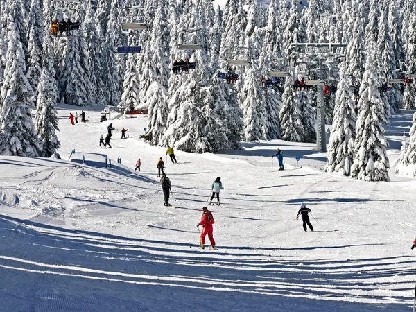 Отдых в горах Цахкадзора