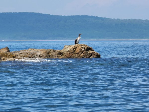 По Японскому морю на моторной лодке!