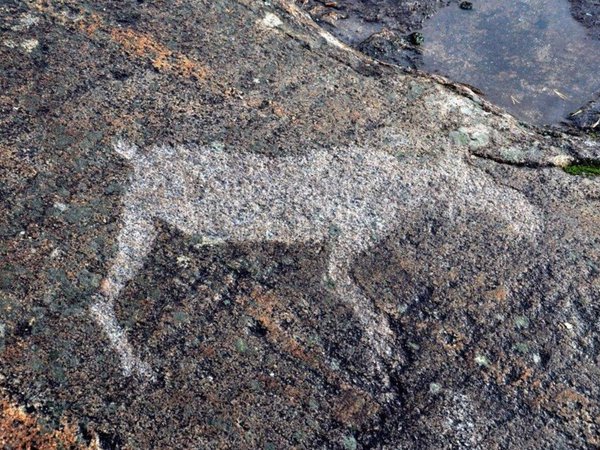 Советское наследие Медвежьегорска и петроглифы Беломорья (всё включено)