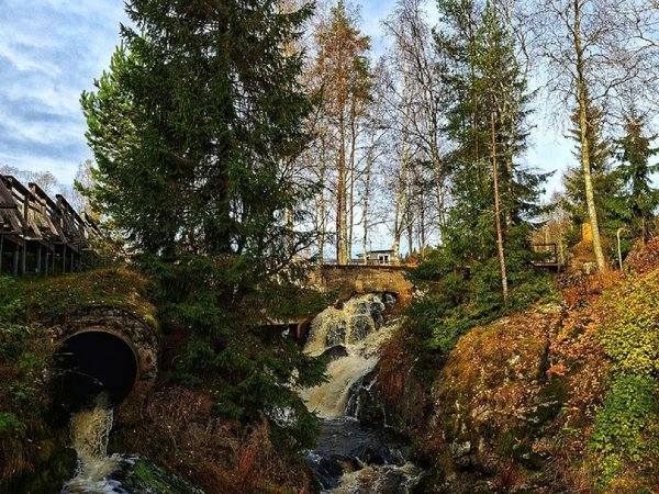 Из Питера — в Карелию гонять на квадроциклах и любоваться водопадами - фото 2