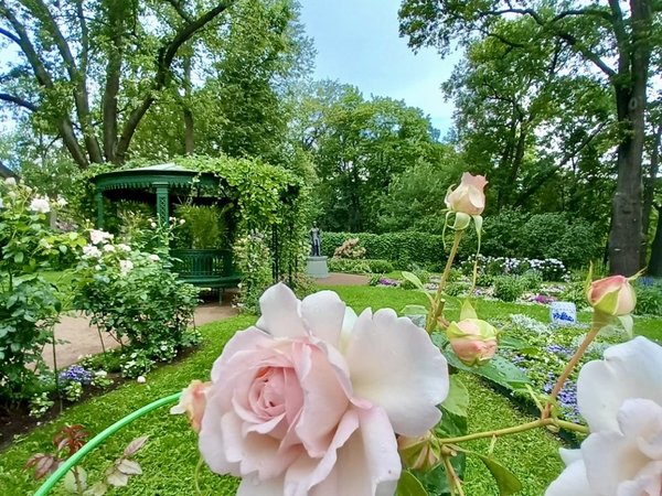 Александрия: открыть нетуристический Петергоф (в мини-группе) - фото 2