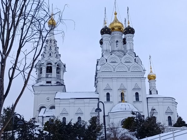 Прусские воительницы и великие полководцы 19 века - фото 3