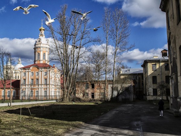 Эпидемии в Петербурге - фото 4