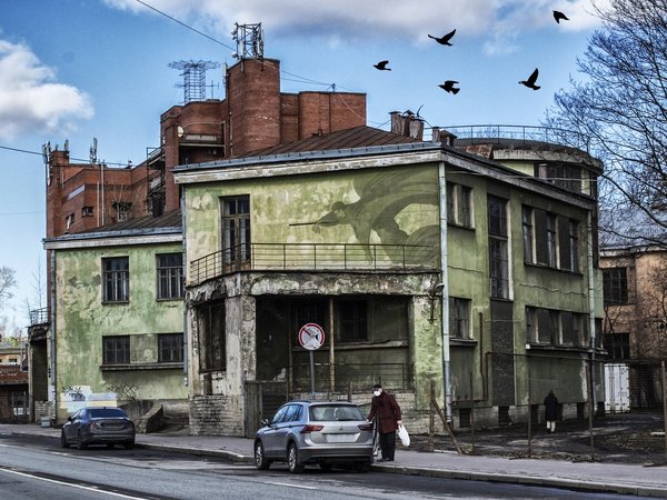 Эпидемии в Петербурге - фото 3