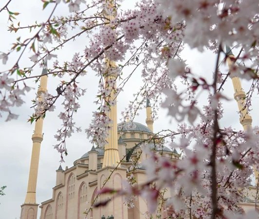 Экскурсия-фотосессия в Грозном
