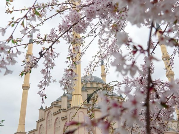 Экскурсия-фотосессия в Грозном - фото 1
