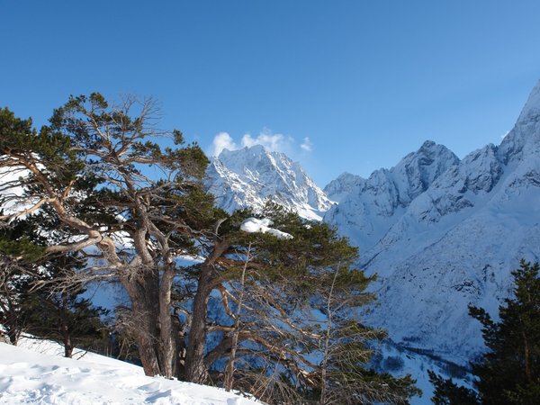 В Домбай из Кисловодска — побывать в горной сказке - фото 3