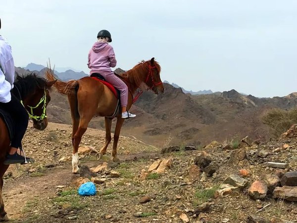 Для тех, кто видел всё: конная прогулка в окрестностях Дубая - фото 3