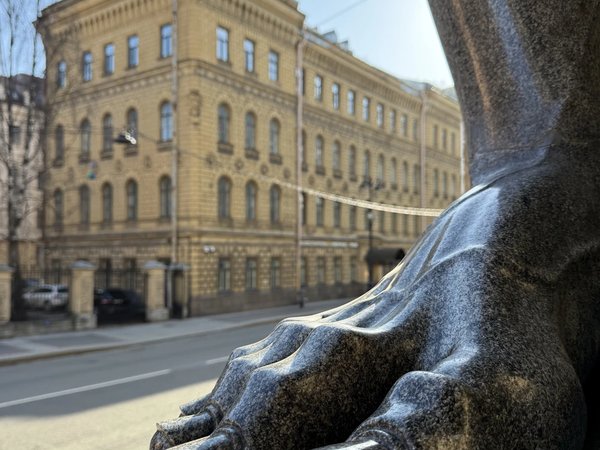 Любовь и кровь на Миллионной в Петербурге - фото 2