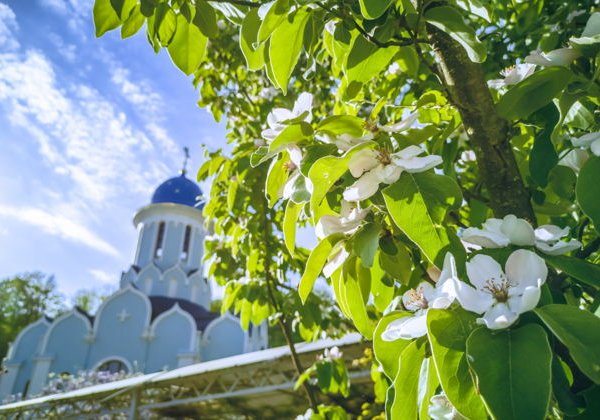 Джип-тур «Царский каньон в долине реки Псахо» - фото 1
