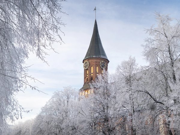 История Кёнигсберга–Калининграда (из Пионерского) - фото 1