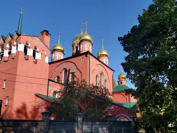Грибы и гробы: по старинному кладбищу Нижнего Новгорода с микологом - фото 4