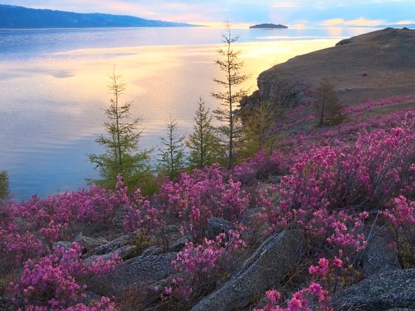Тёплый отпуск на Байкале: Тажераны и Ольхон в мини-группе - фото 1