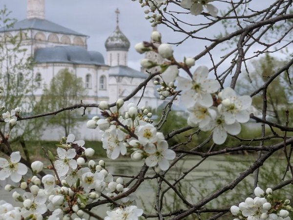 Обитель тайн: переславские монастыри, их царские гости и узники - фото 2