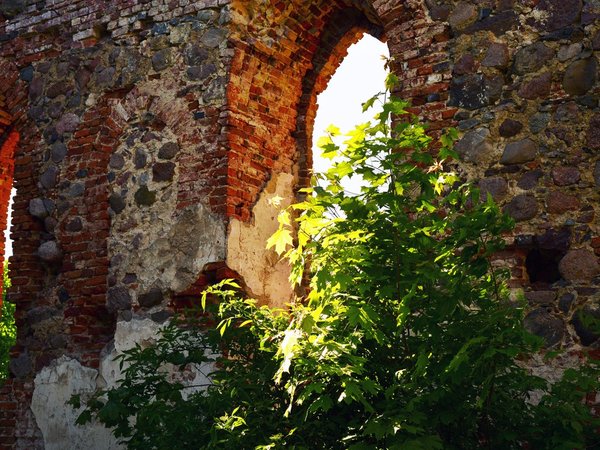 Самбия — от расцвета до заката (из Зеленоградска) - фото 1