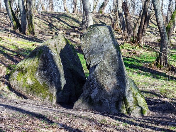 Самбия — от расцвета до заката (из Зеленоградска) - фото 2