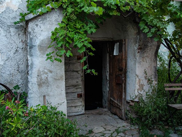 Идиллический Светы Юр - фото 4
