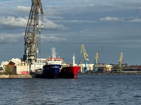 Непарадный Петербург на автомобиле: Васильевский остров, Петроградка и «Лахта-центр» - фото 2