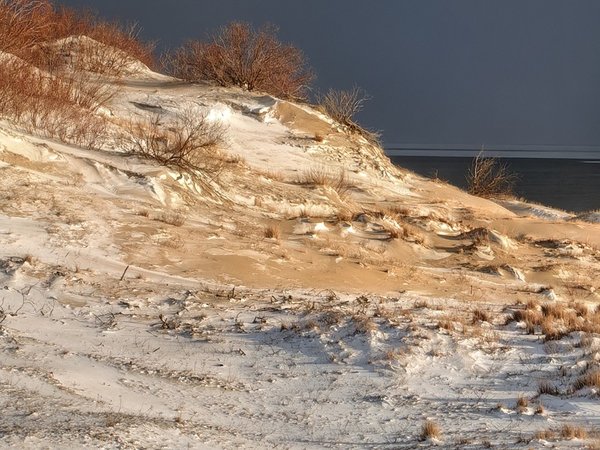 Кубок леса: квест по Куршской Косе - фото 2