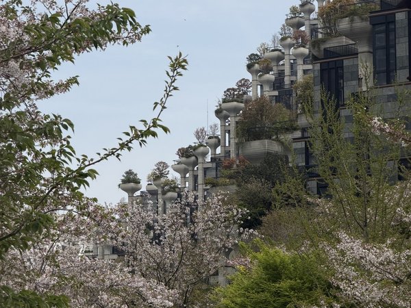 Шанхайский пульс: от колониального шика к архитектуре будущего - фото 3