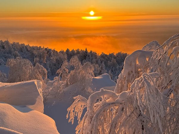 Ветлан и Полюд за один день на снегоходах! - фото 1