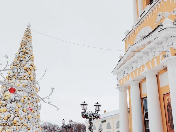 Коломна и Зарайск — две крепости за один день (на вашем авто) - фото 4