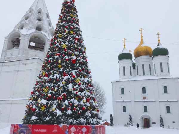 Коломна и Зарайск — две крепости за один день (на вашем авто) - фото 2