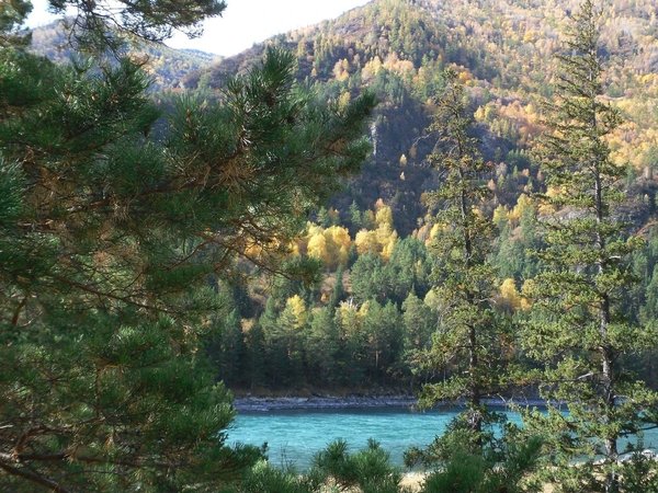 Сказочный Алтай: местные промыслы и природные достопримечательности - фото 1