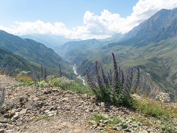 Из Владикавказа — в Дигорское ущелье - фото 2