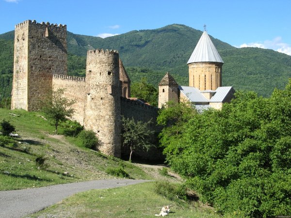 Казбеги: природное богатство Грузии - фото 4