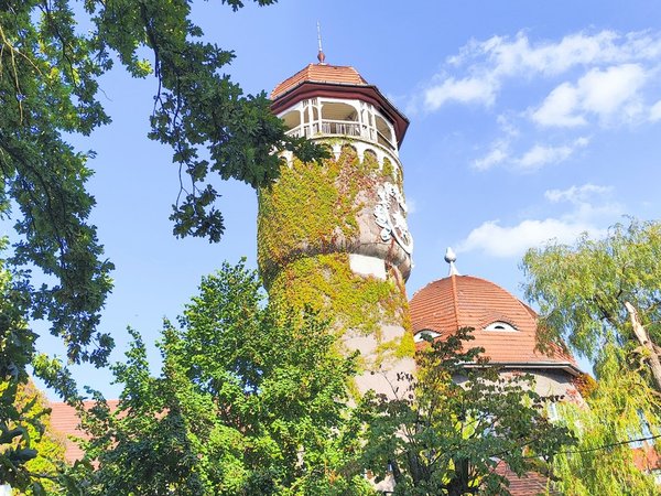 Из аэропорта Калининграда — в Светлогорск и Зеленоградск - фото 4
