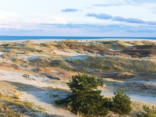 Путешествие на Куршскую косу через Зеленоградск и замок Нессельбек - фото 1