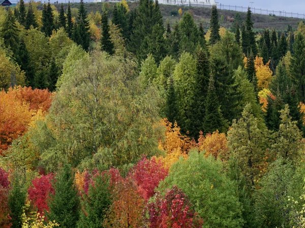 Из Перми — в Кунгур и Белогорье! - фото 2