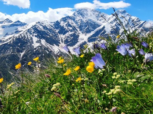Экодень в окрестностях Нальчика - фото 1