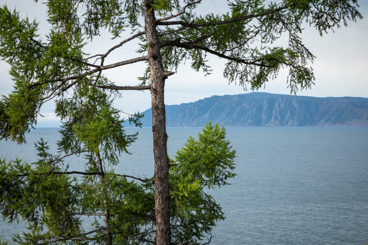 Знакомство с Байкалом за один день (из Иркутска) - фото 3