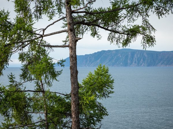 Знакомство с Байкалом за один день (из Иркутска) - фото 3