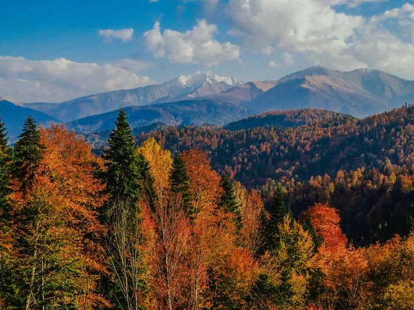 Из Краснодара — к водопадам Руфабго, Хаджохской теснине и термальным источникам Адыгеи - фото 1
