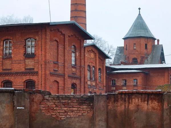 Атмосферная провинция: замок Тапиау и Гвардейск (из Калининграда) - фото 4