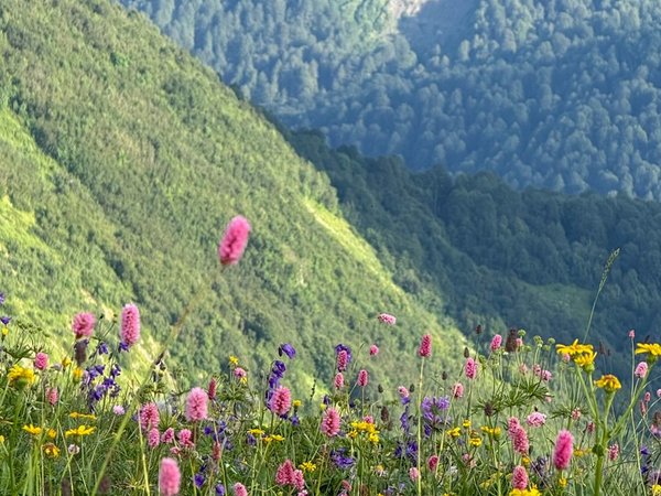 Джипинг по Абхазии и конная прогулка в долине Семи озёр - фото 3