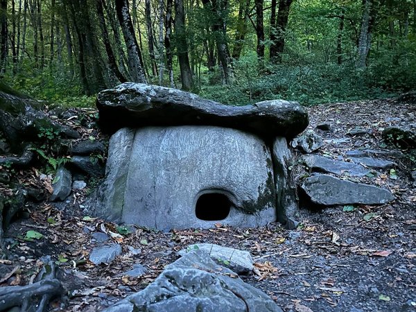 Живописные ущелья, дольмены и горные курорты за 1 день (из Сочи) - фото 2