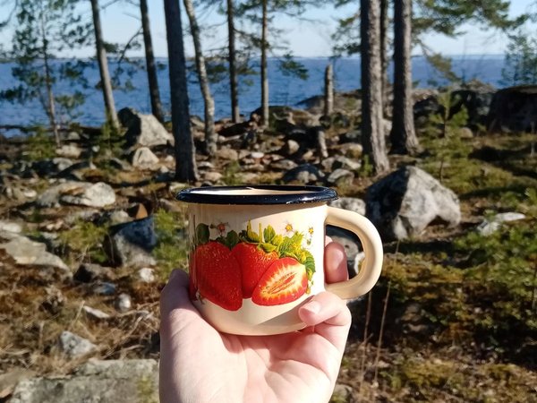 Таёжное чаепитие: горные виды, прозрачное озеро и дары леса - фото 2