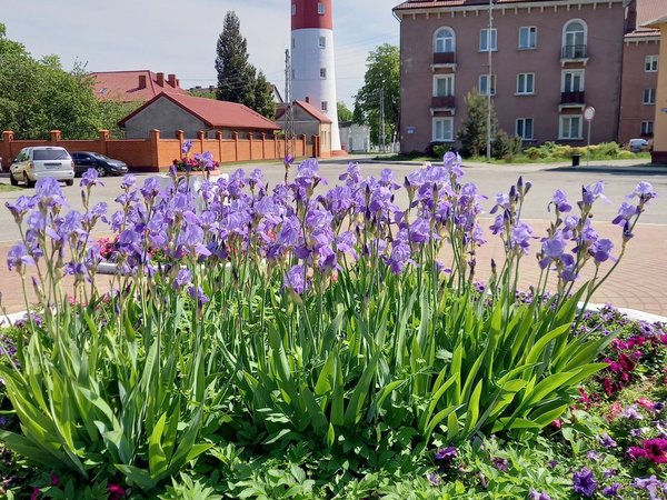 Из Светлогорска — в брутальный Балтийск - фото 3