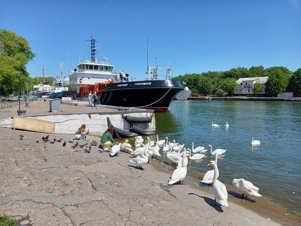 Из Светлогорска — в брутальный Балтийск - фото 2