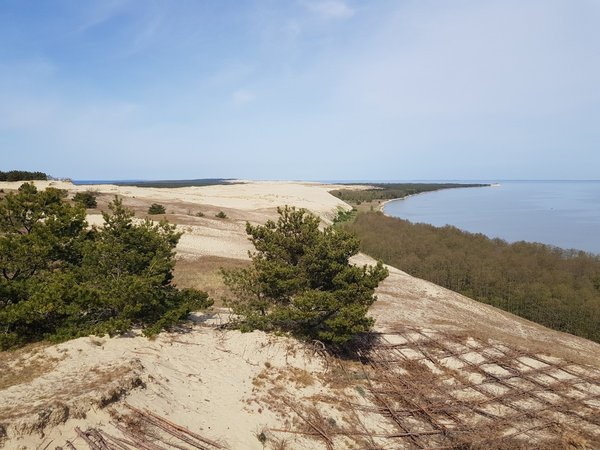 Загадочная Куршская коса с сертифицированным гидом — из Зеленоградска - фото 1