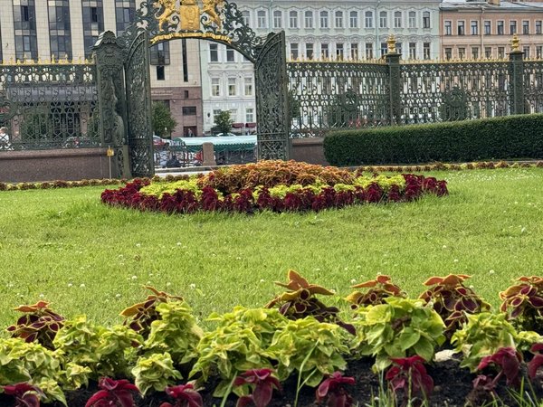 В шаге от Невского: что скрывают петербургские особняки - фото 4