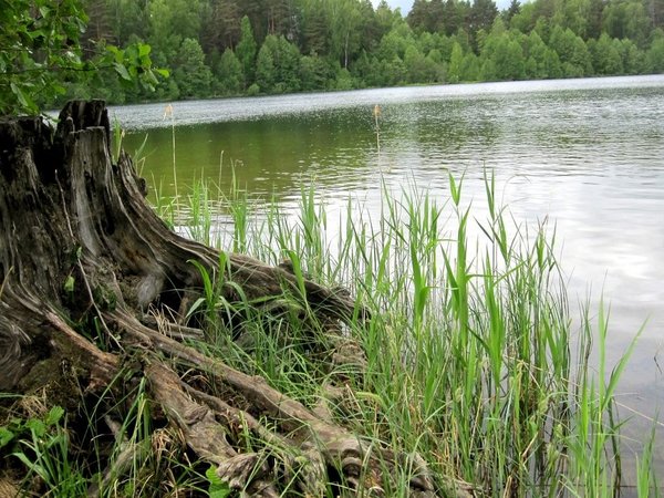 Град Китеж и озеро Светлояр - фото 4