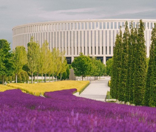 Экскурсия по парку Галицкого